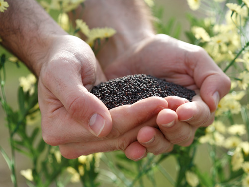 2025_PWS-3.0_General-Content_CC-w-bkrgd_500-x-375_BG Stock Image-1