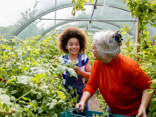 2025_PWS-3.0_Contenu général_image_500 x 375_Green Grant