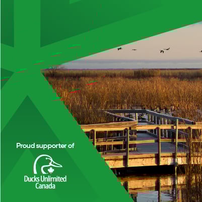 Image of a boardwalk through wetlands