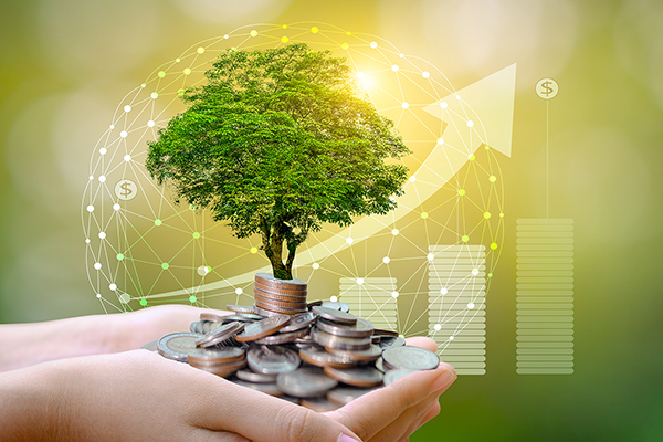 Socially responsible investments have taken centre stage: Impacts of COVID-19